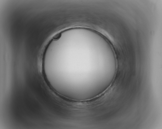 X0000102311504200808081554