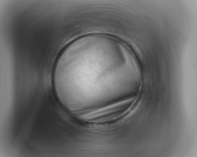 X0000102311505200808081554