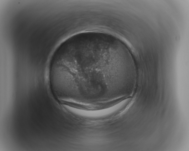 X0000102311506200808081554