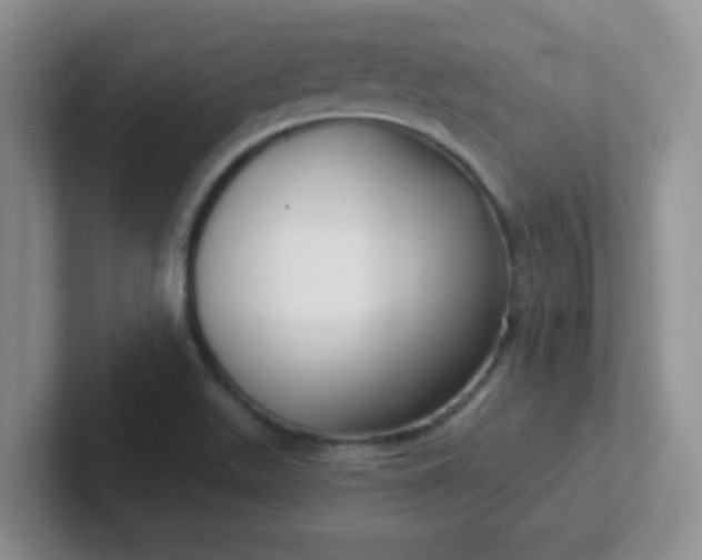 X0000102311511200808081554