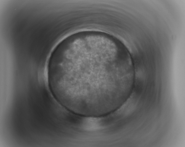 X0000102311514200808081554