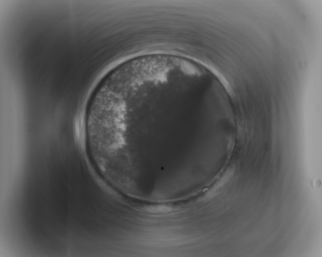 X0000102311515200808081554