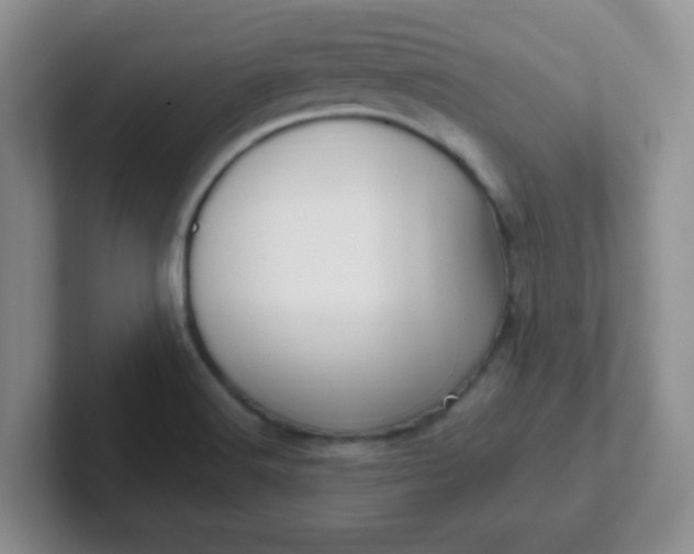 X0000102311516200808081554