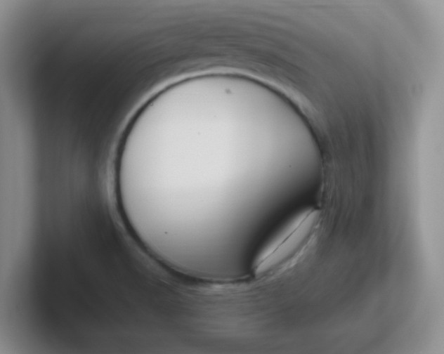 X0000102311518200808081554