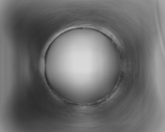 X0000102311520200808081554