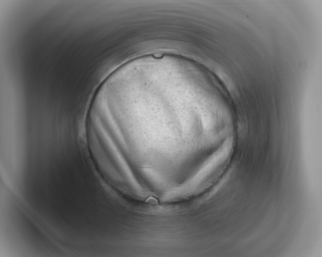 X0000102311521200808081554