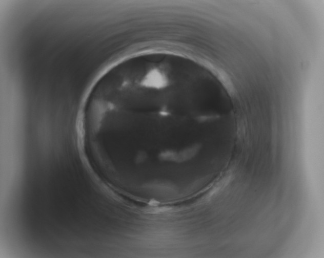 X0000102311522200808081554