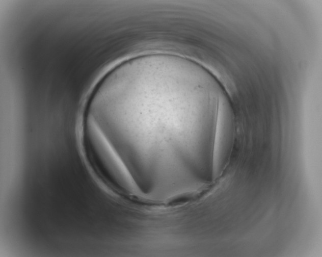 X0000102311523200808081554