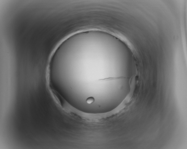 X0000102311524200808081554