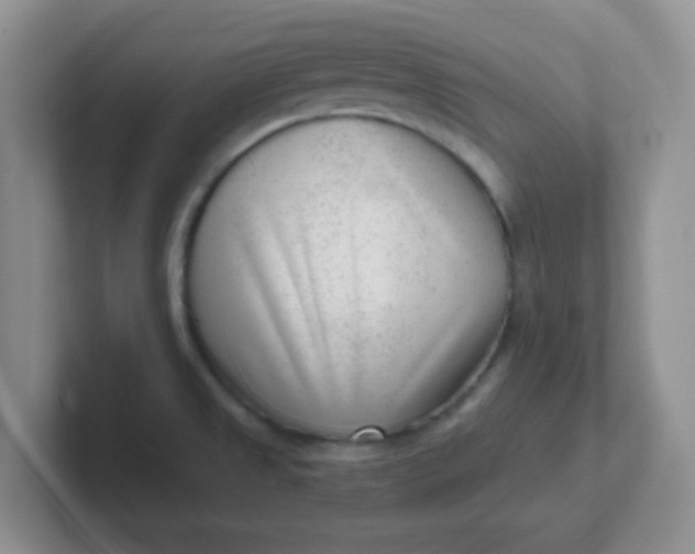 X0000102311525200808081554