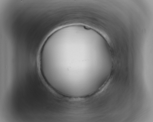 X0000102311526200808081555