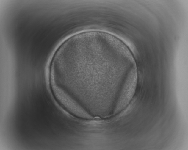 X0000102311527200808081555