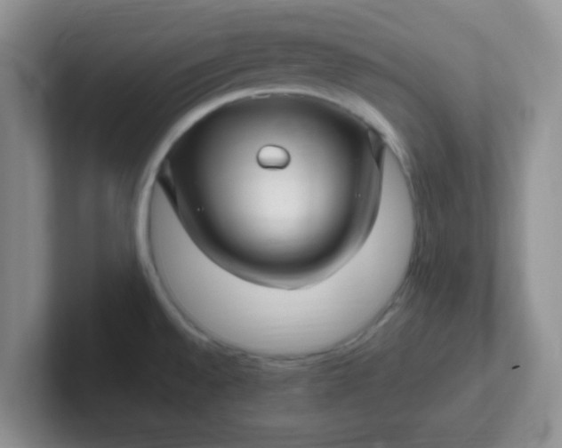 X0000102311528200808081555