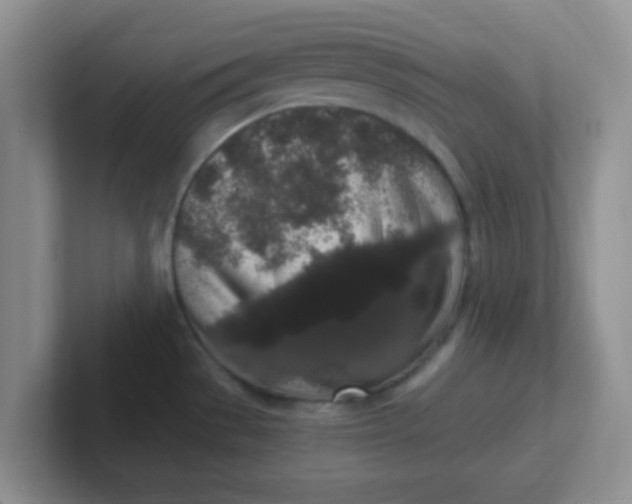 X0000102311529200808081555