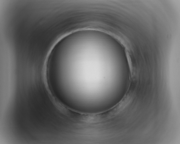 X0000102311530200808081555