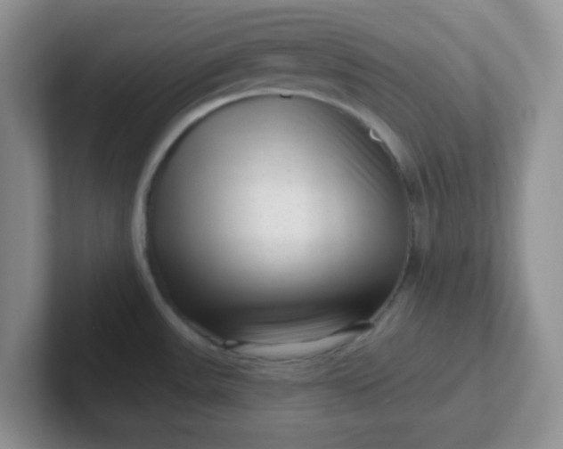 X0000102311531200808081555