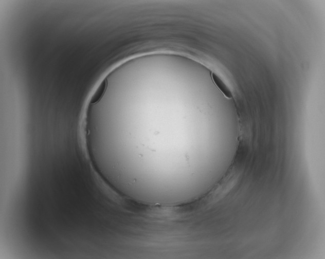 X0000102311532200808081555