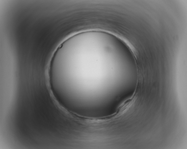 X0000102311534200808081555