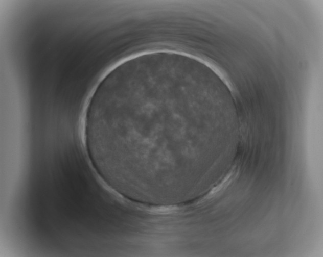 X0000102311535200808081555