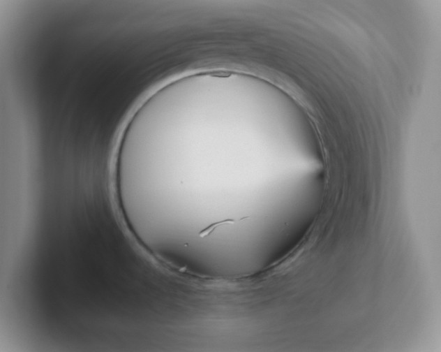 X0000102311536200808081555