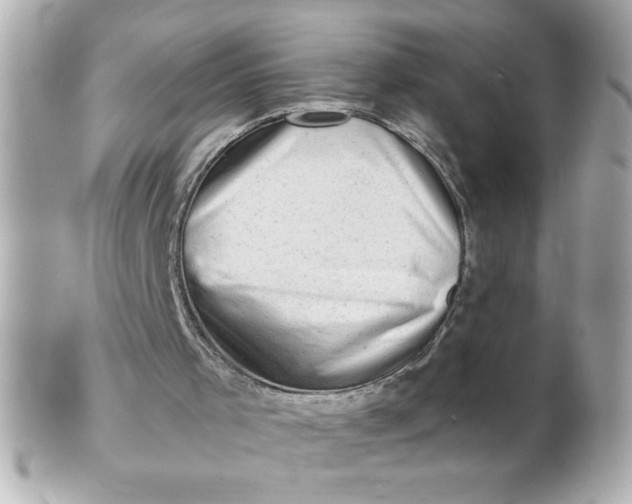 X0000102310001200808152053