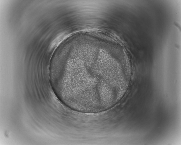 X0000102310002200808152053