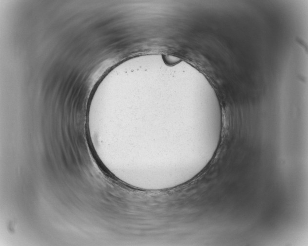 X0000102310003200808152053