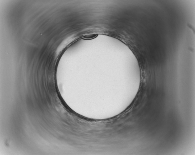 X0000102310004200808152053