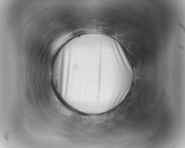 X0000102310005200808152053