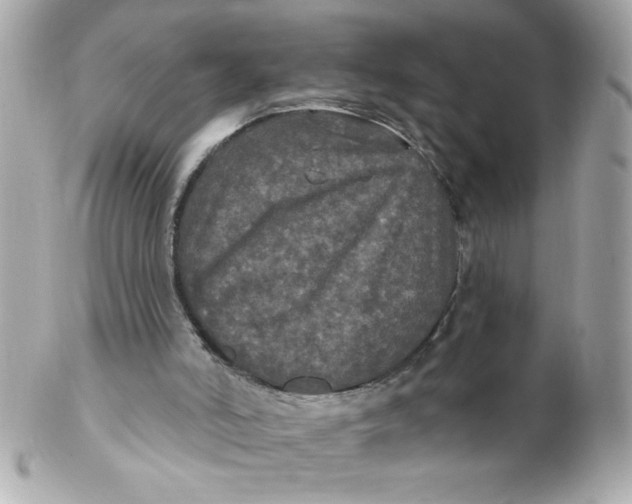 X0000102310006200808152053