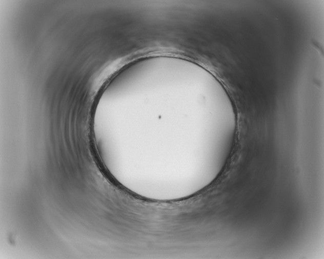 X0000102310007200808152053
