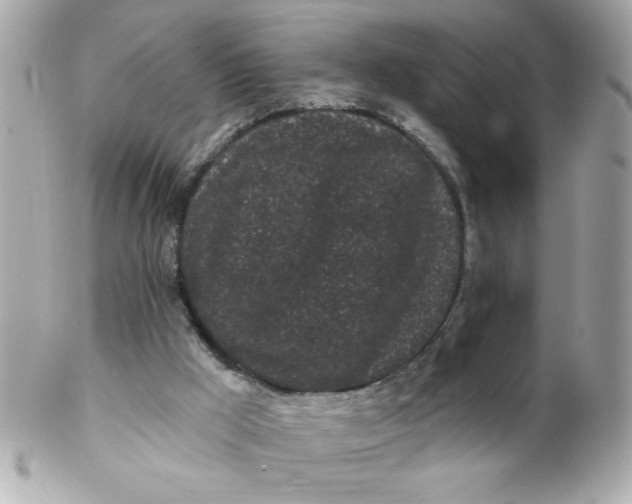 X0000102310009200808152053