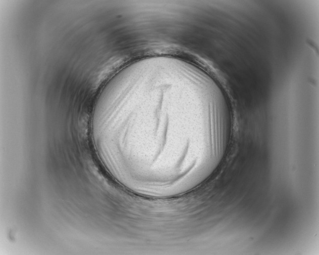 X0000102310010200808152053