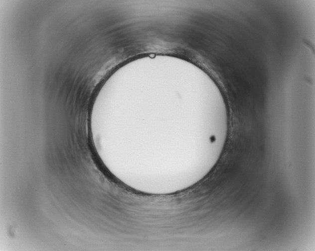 X0000102310011200808152053