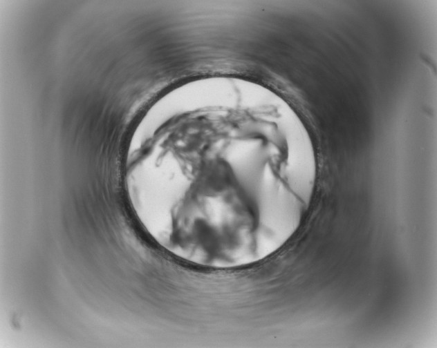 X0000102310012200808152052