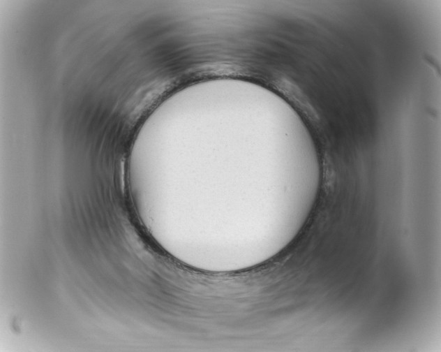 X0000102310014200808152052