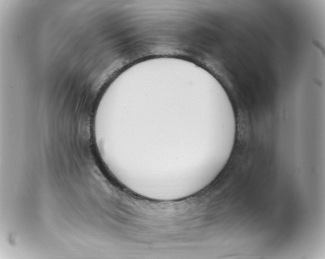 X0000102310015200808152052