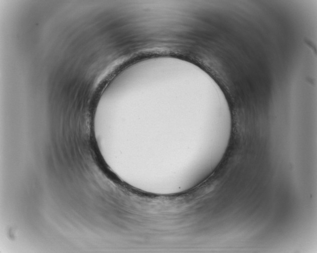 X0000102310016200808152052