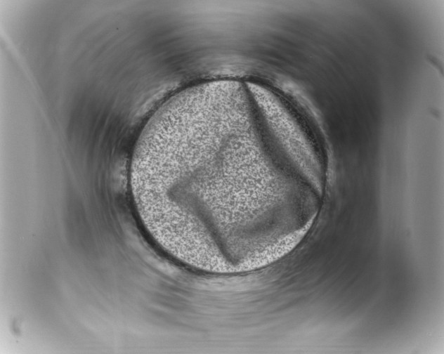 X0000102310017200808152052