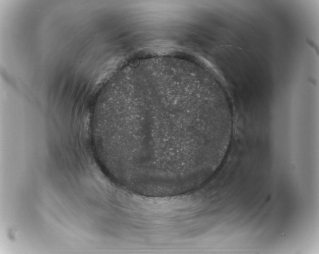 X0000102310018200808152052