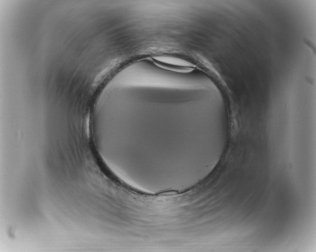 X0000102310019200808152052