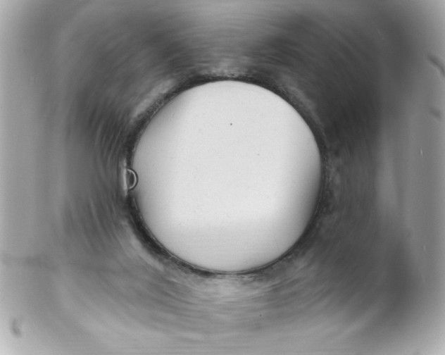 X0000102310020200808152052