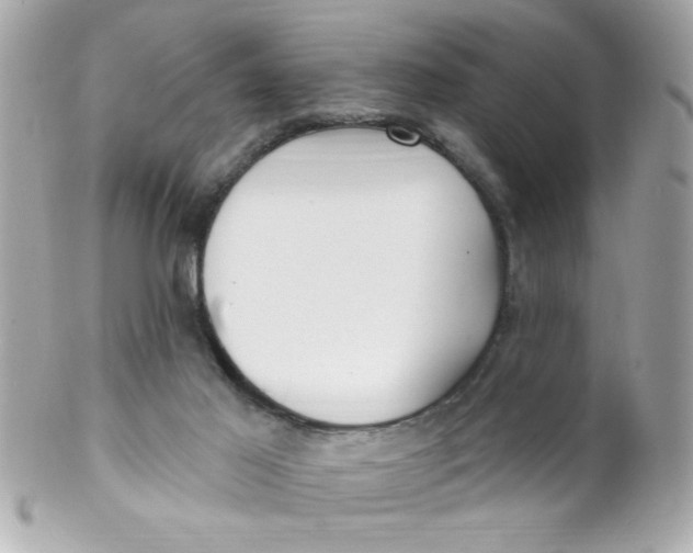 X0000102310021200808152052