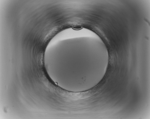 X0000102310023200808152052