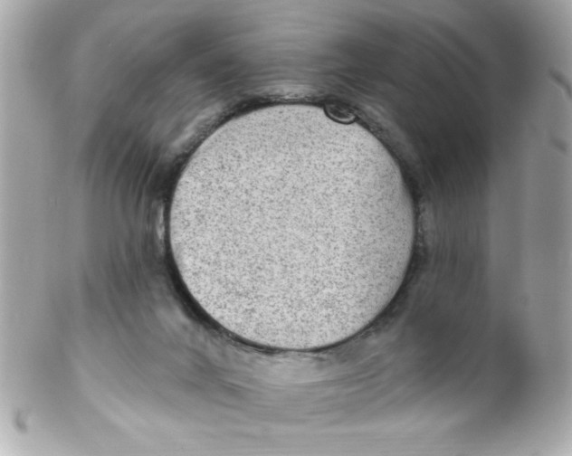 X0000102310024200808152052