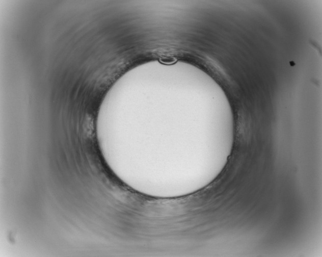X0000102310025200808152052