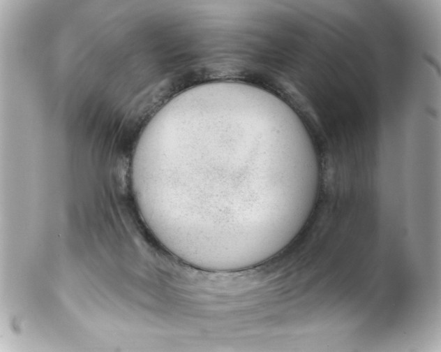 X0000102310026200808152052