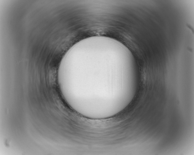 X0000102310030200808152052