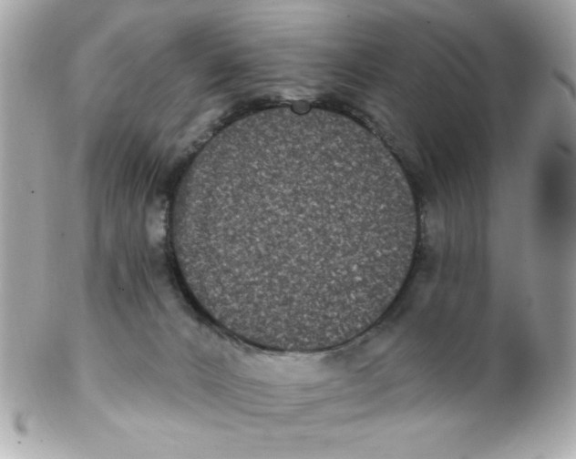X0000102310032200808152052