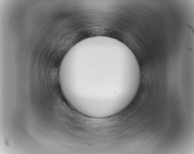 X0000102310034200808152052